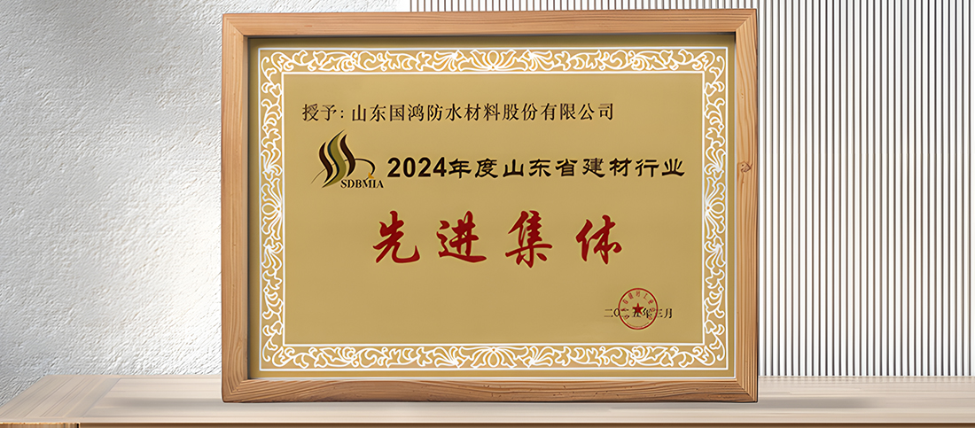 国鸿防水荣获“2024年度山东省建材行业先进集体”殊荣，以无形之盾，筑永恒之境